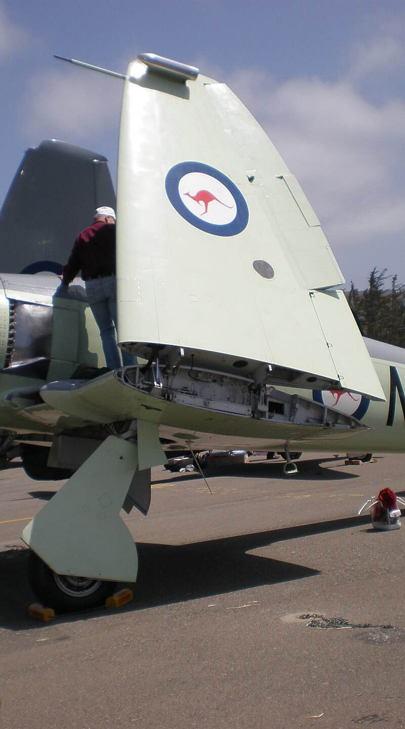  - Warbird