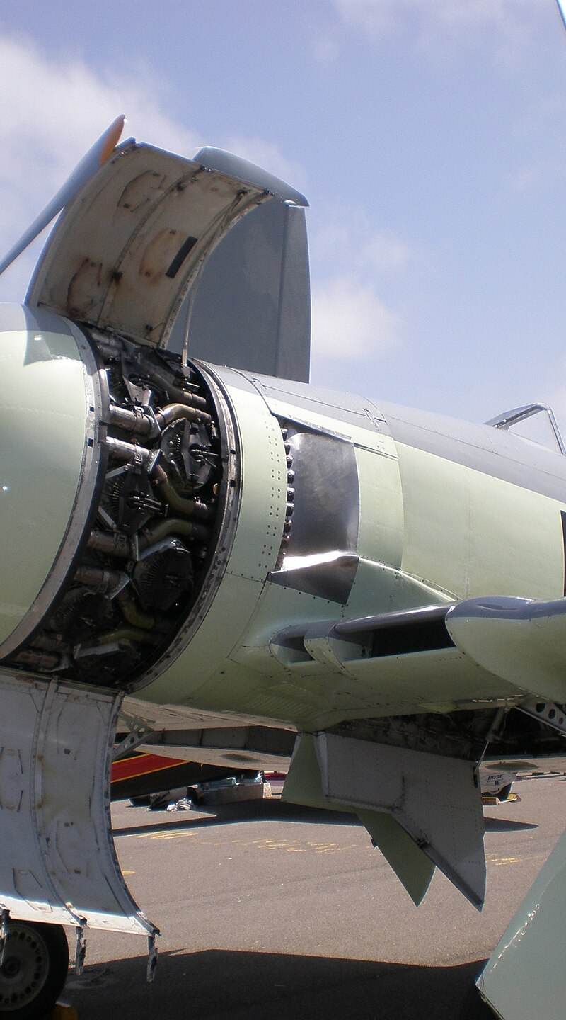  - Warbird