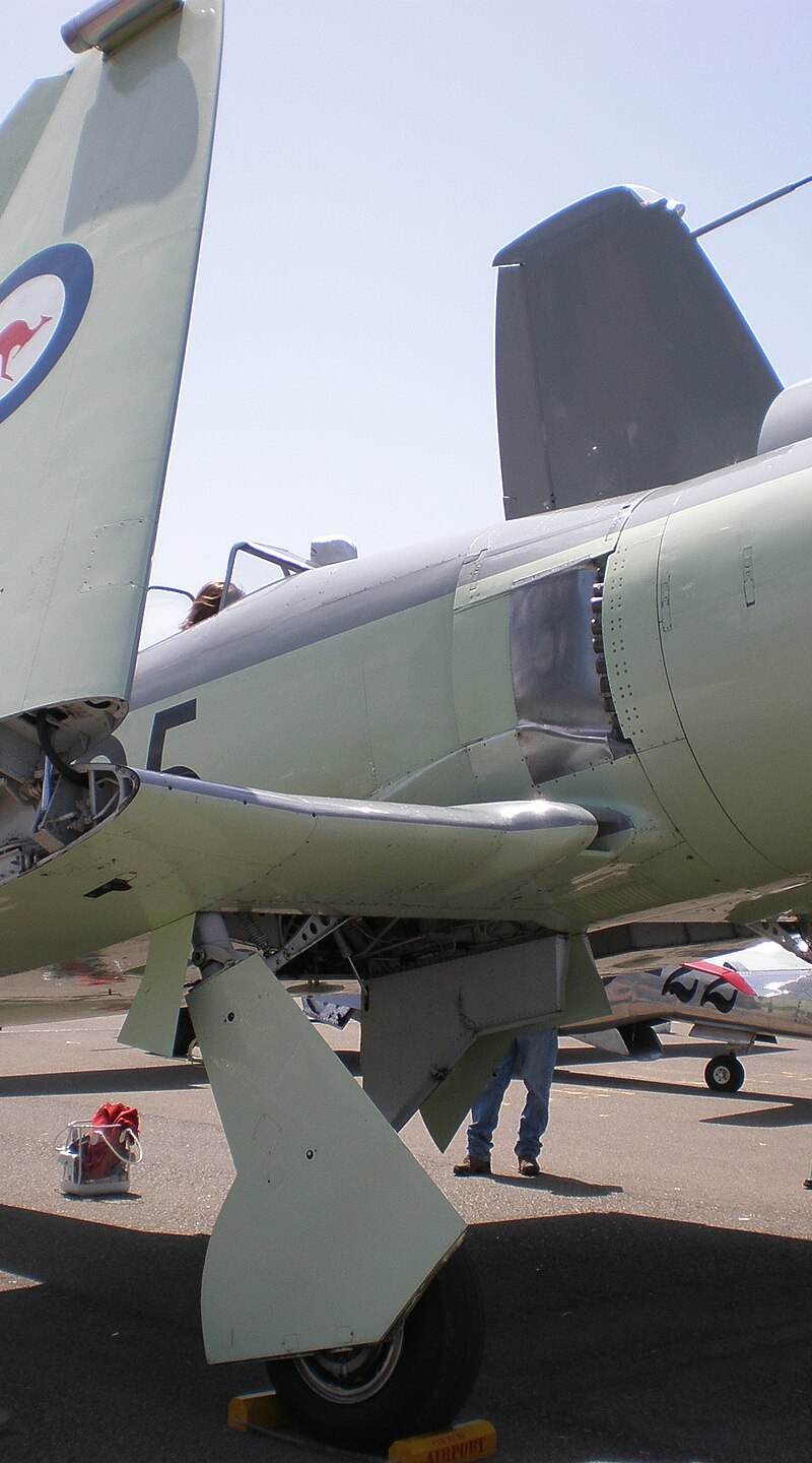  - Warbird