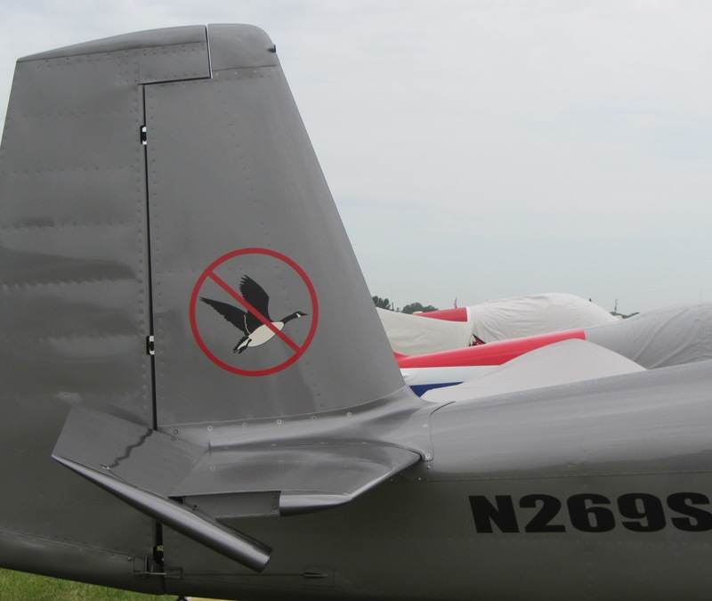 N269SD - Single-engine aircraft
