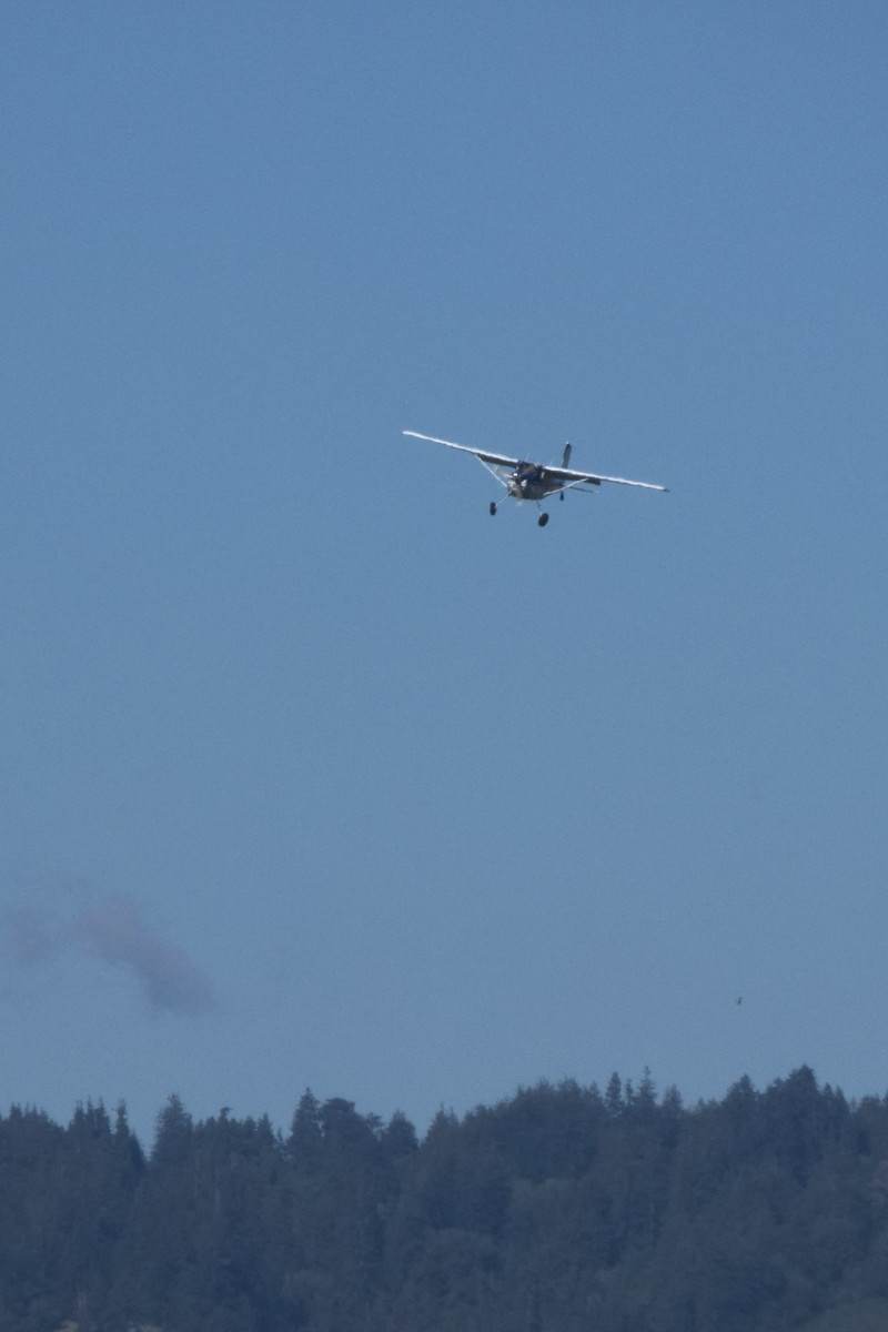 N180KR - Single-engine aircraft