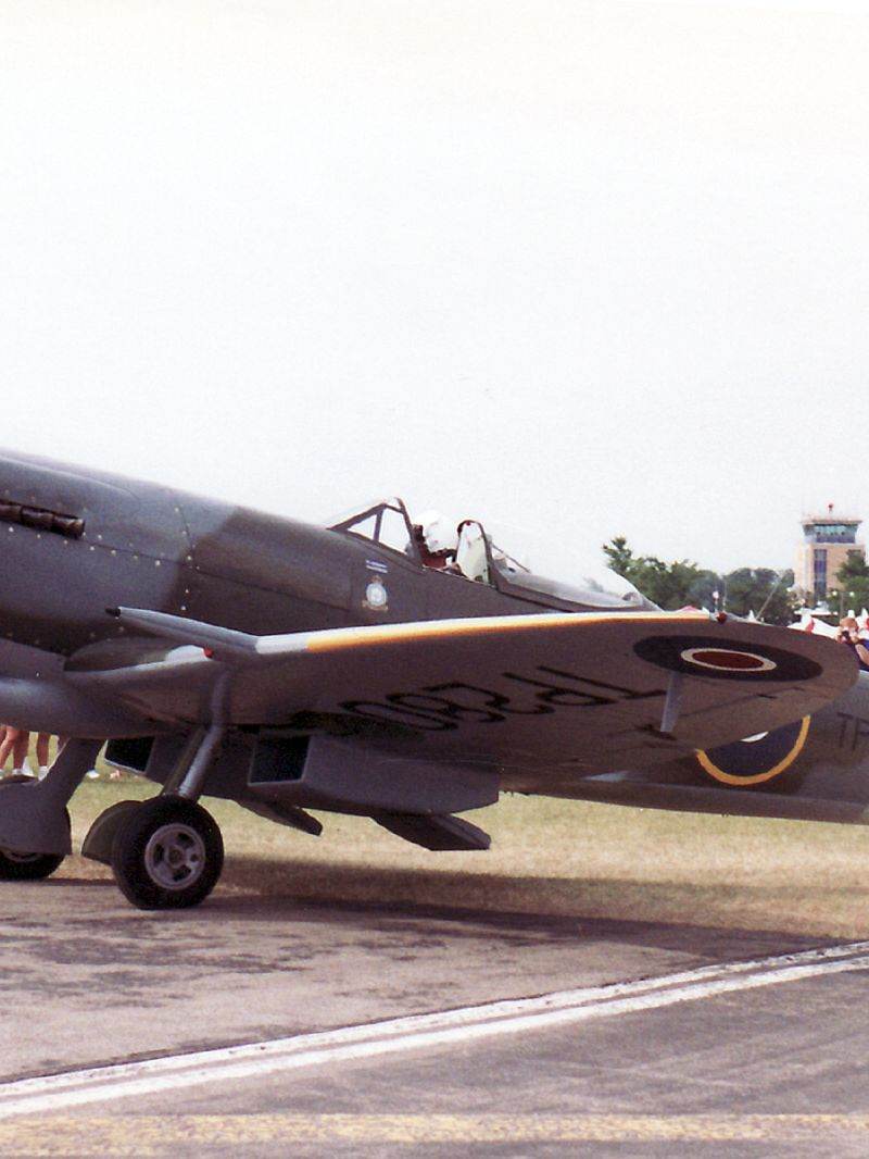  - Warbird
