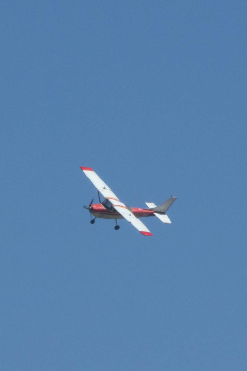 N2379X - Cessna