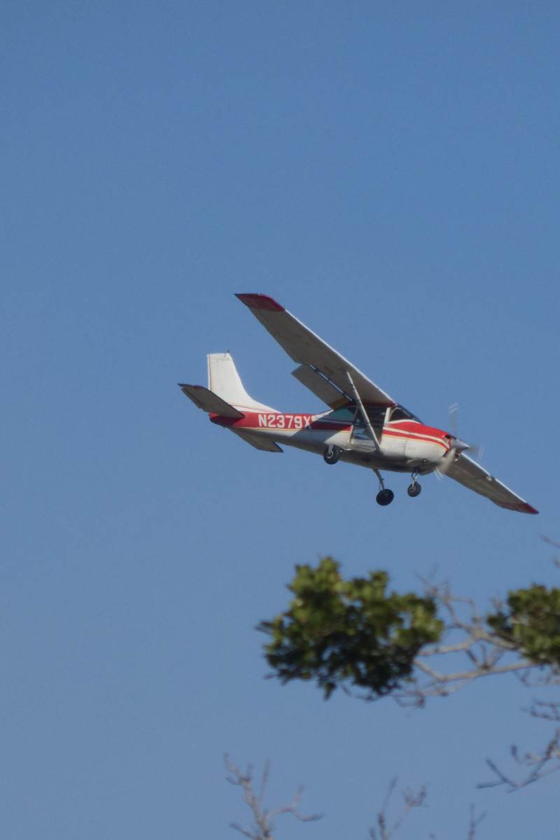 N2379X - Single-engine aircraft