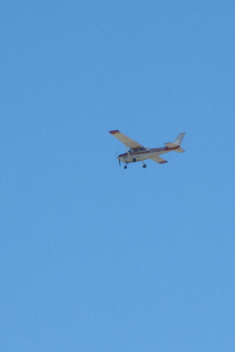 N2379X - Cessna