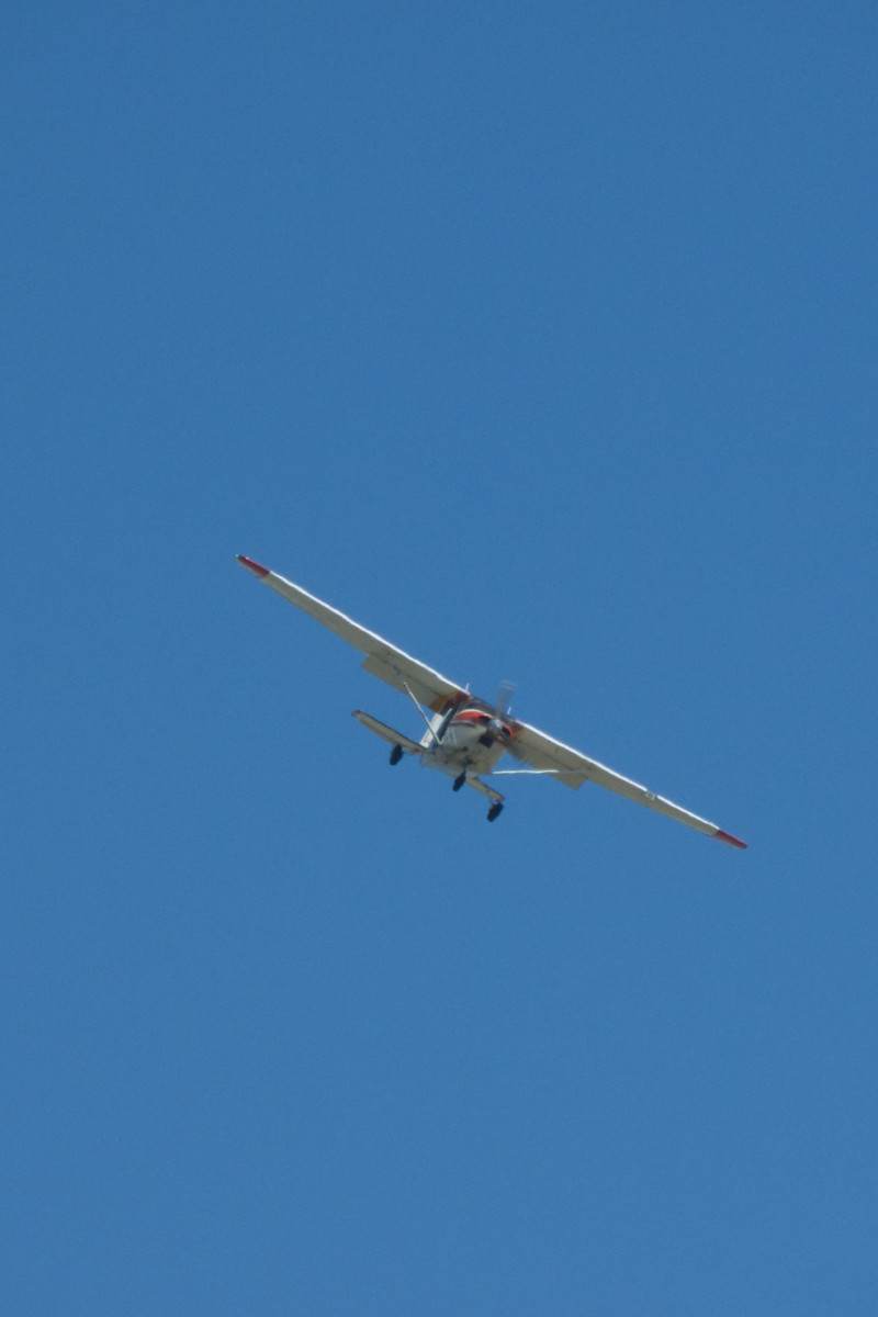 N2379X - Single-engine aircraft