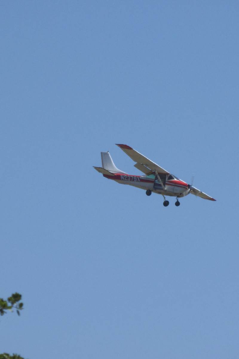 N2379X - Cessna