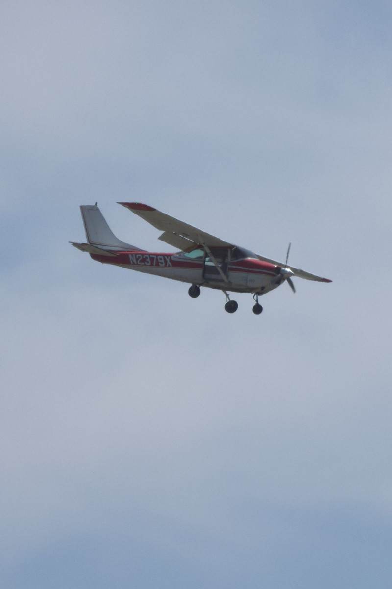N2379X - Cessna