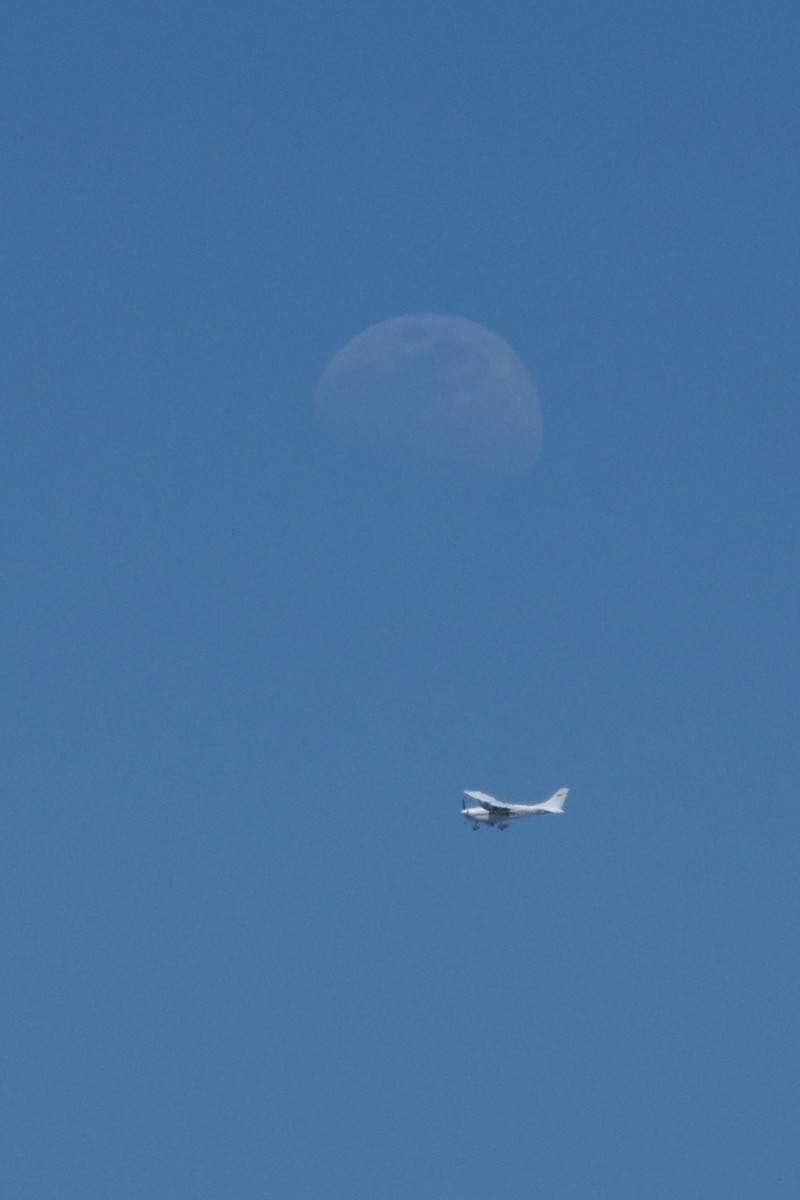 N9954T - Single-engine aircraft