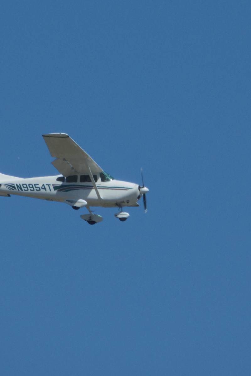 N9954T - Cessna