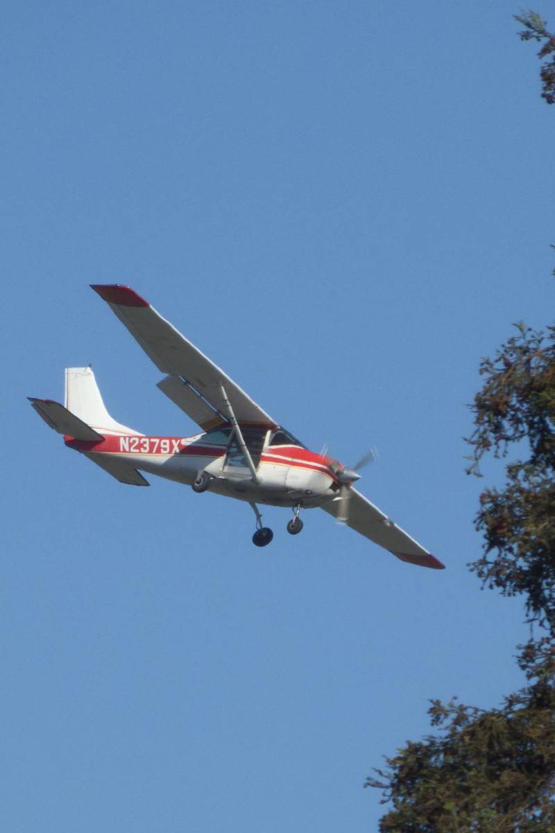 N2379X - Cessna