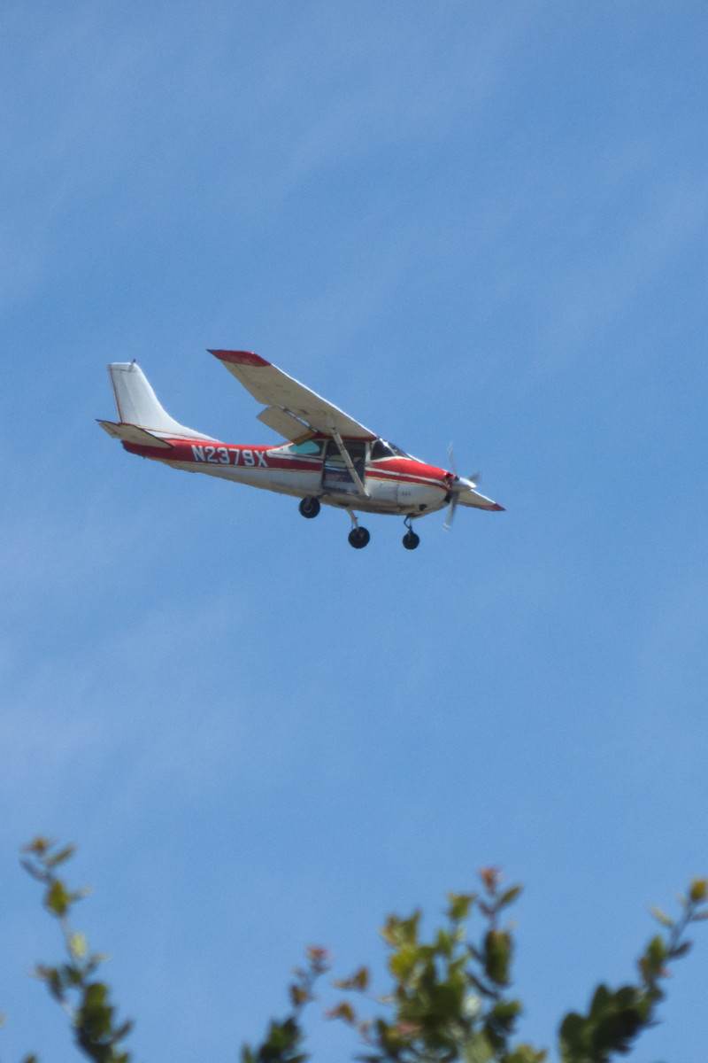 N2379X - Cessna