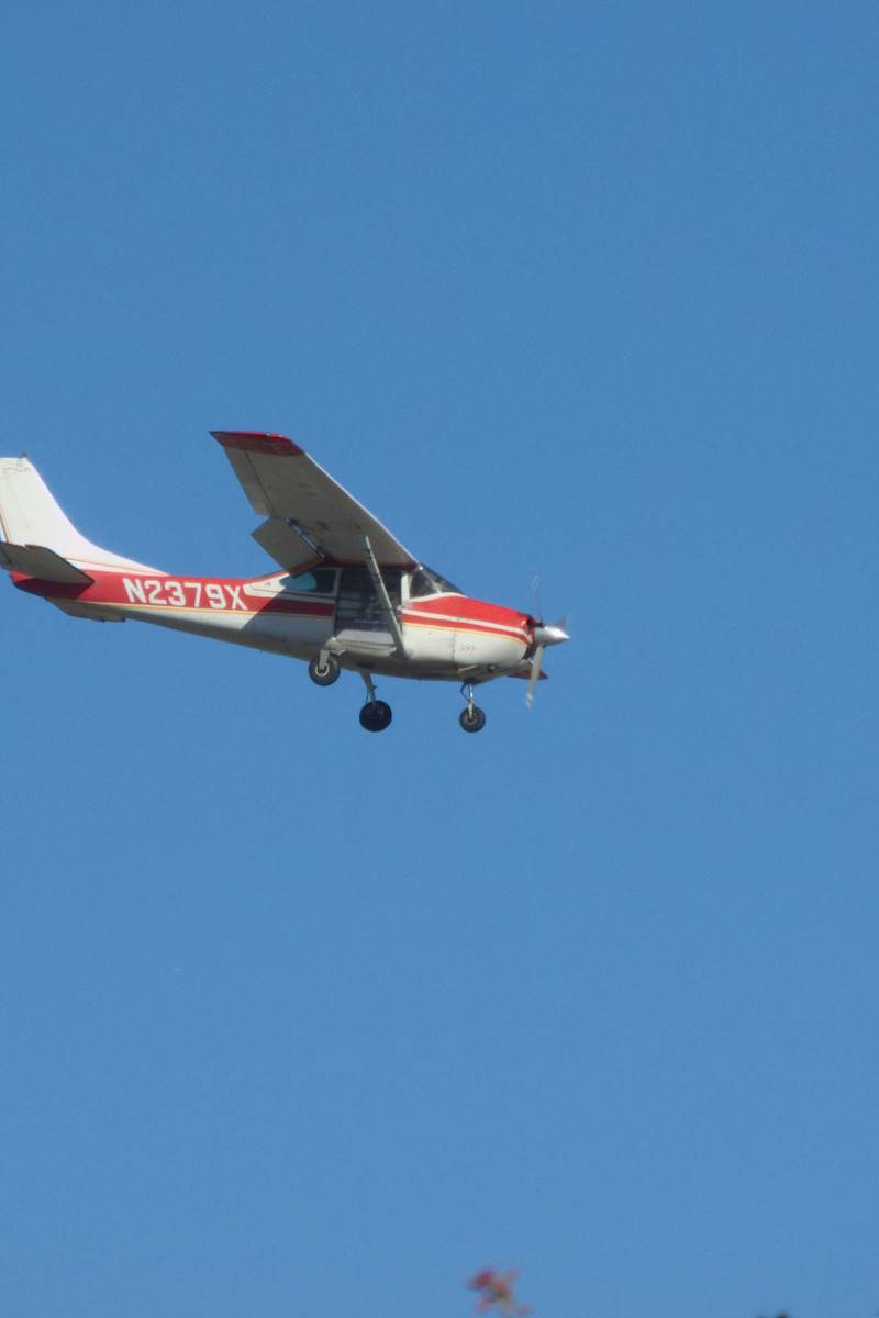 N2379X - Cessna