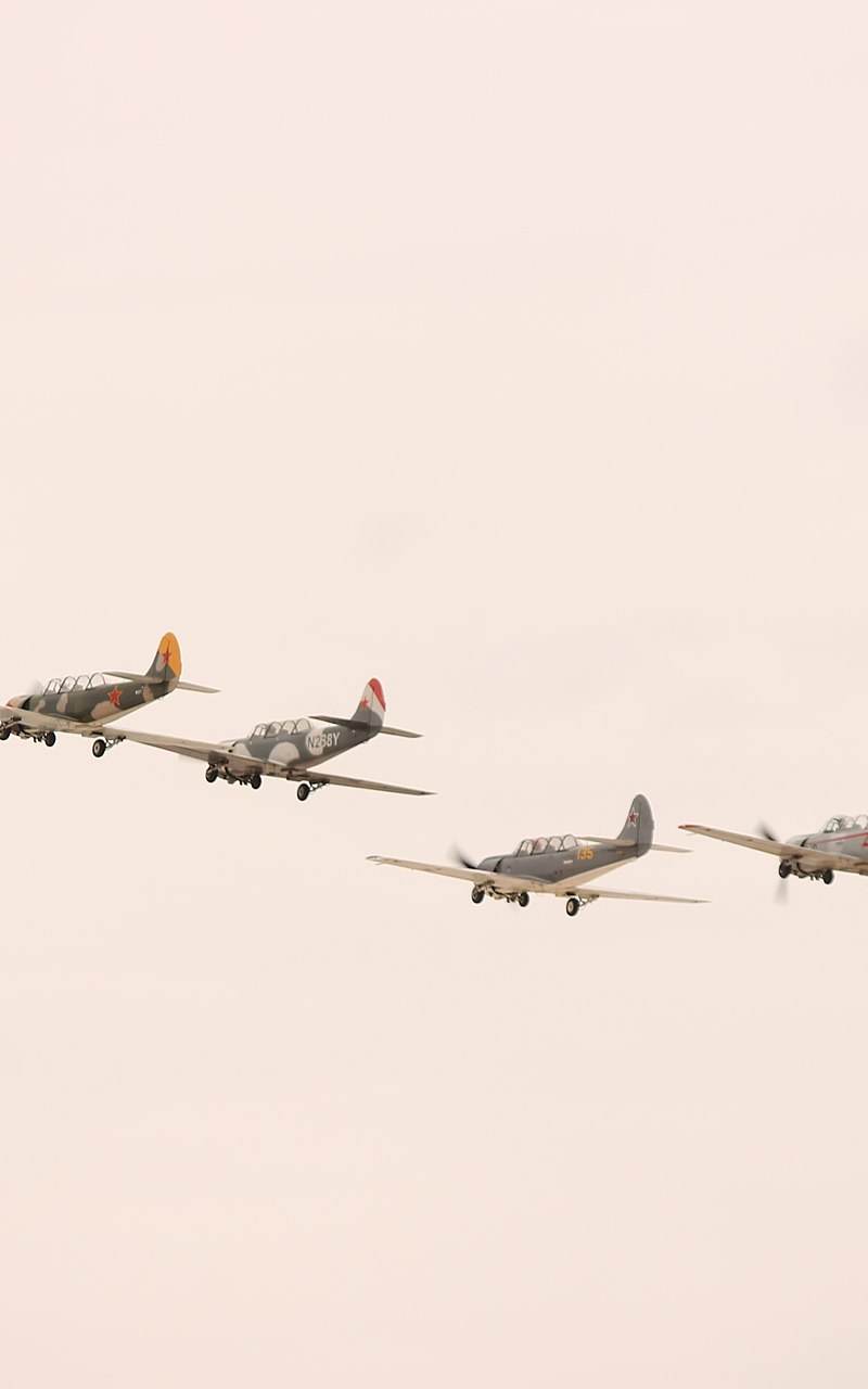 N288Y - Warbird