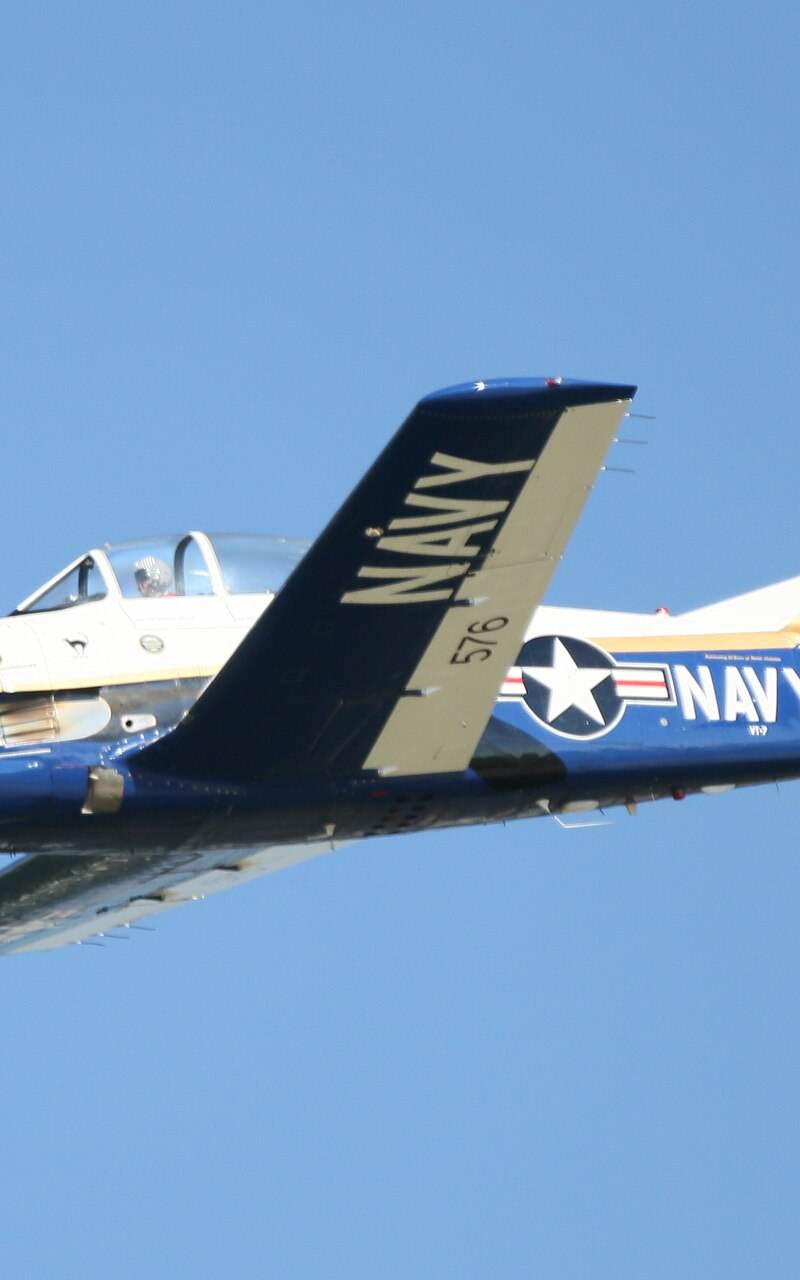  - Warbird