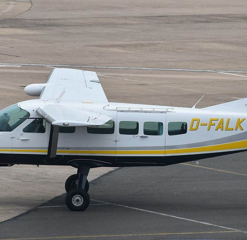 D-FALK - Single-engine aircraft