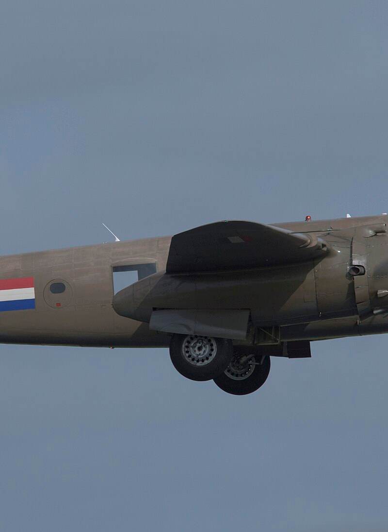  - Warbird