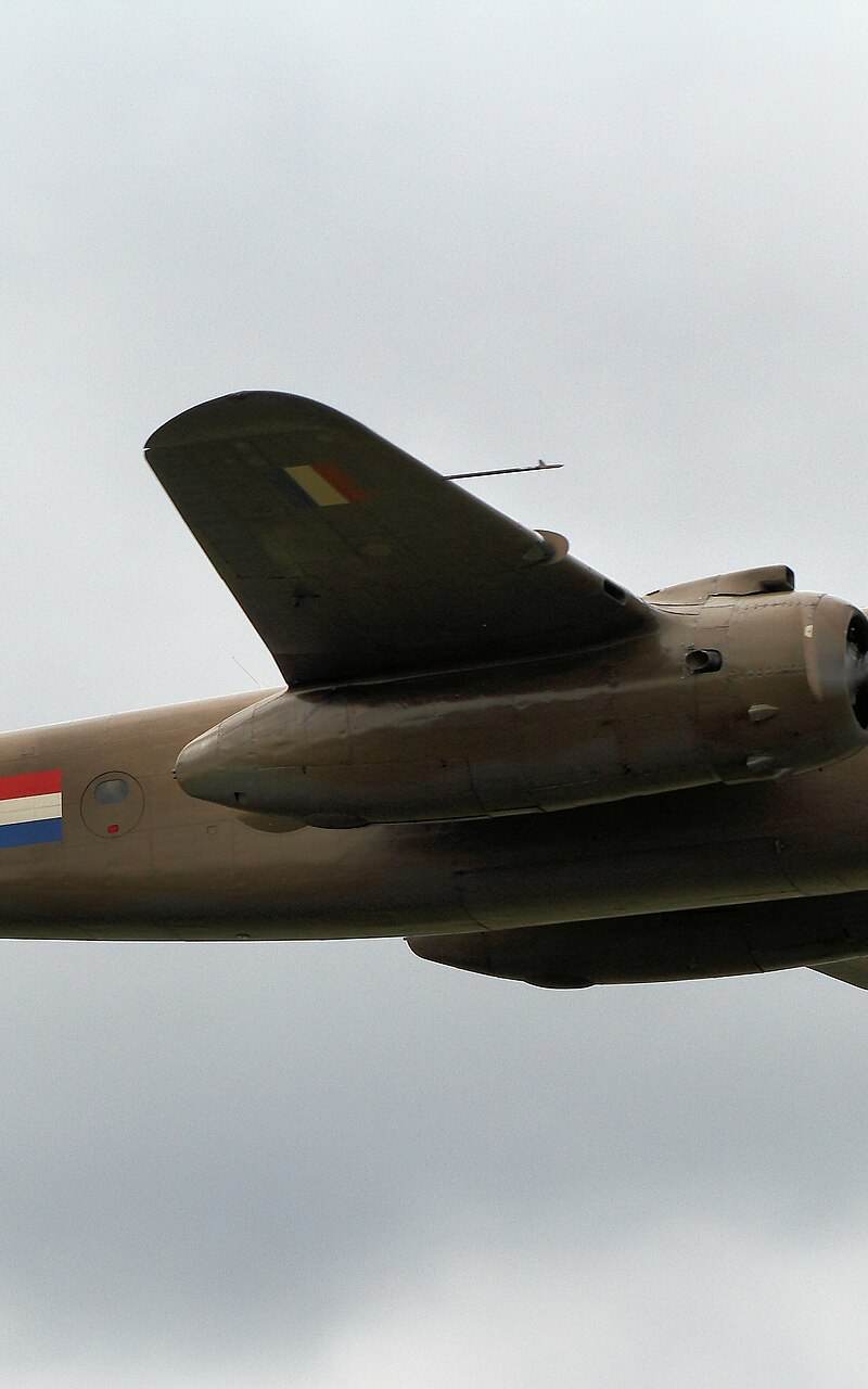  - Warbird
