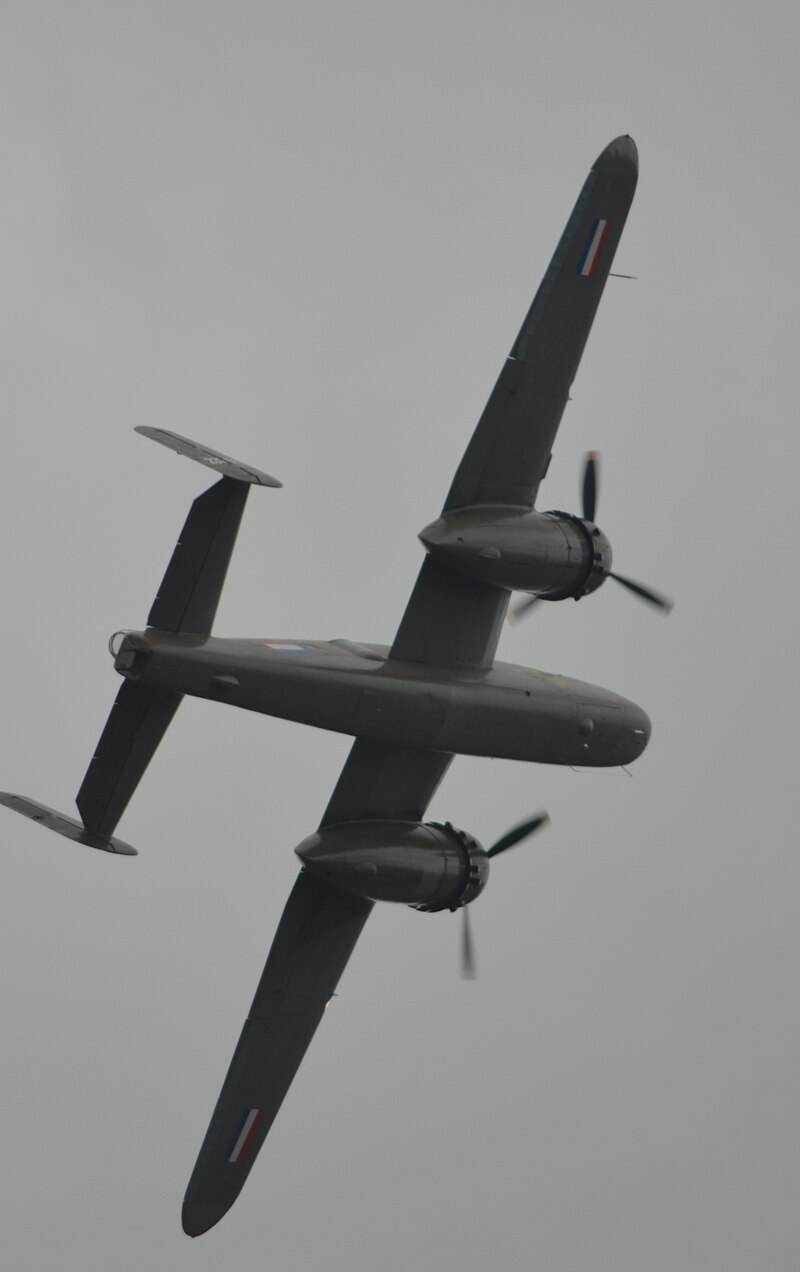 - Warbird