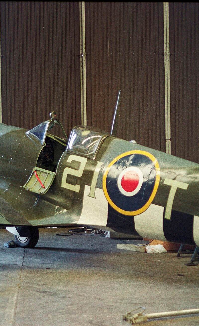  - Warbird