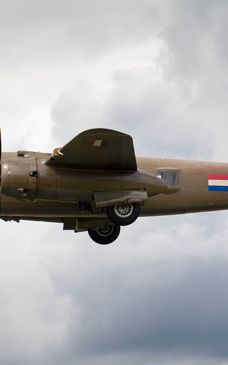  - Warbird