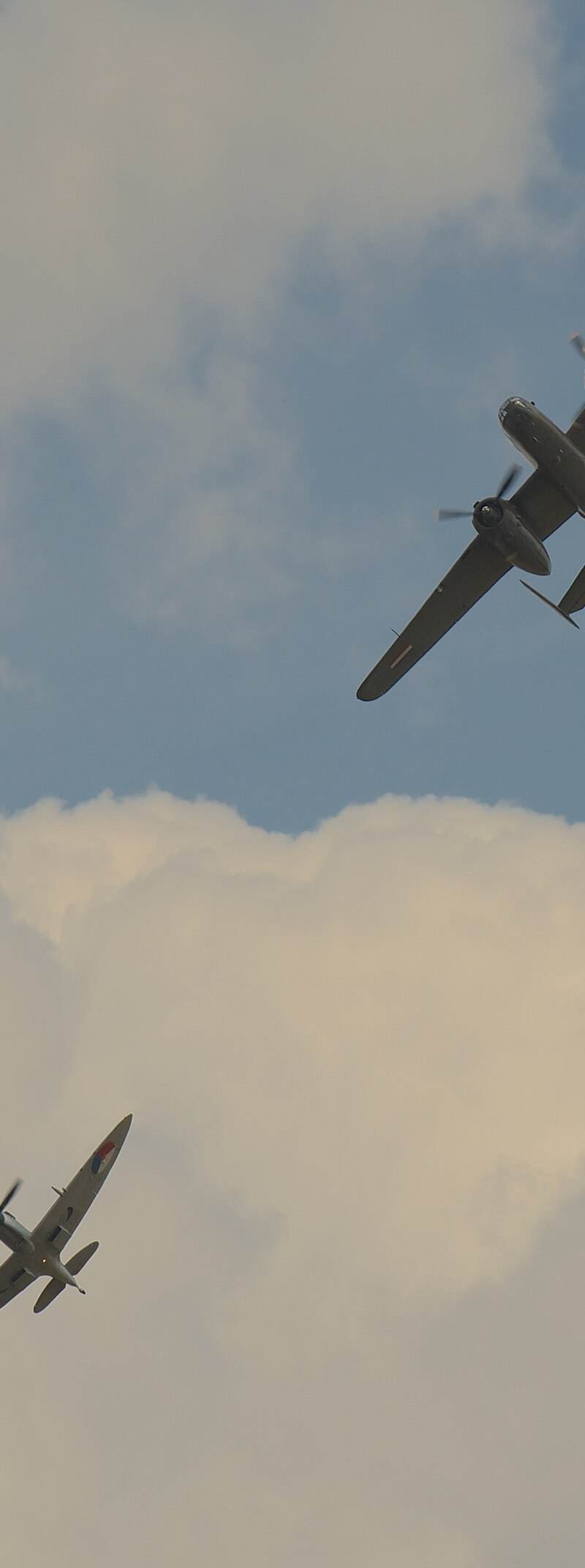  - Warbird