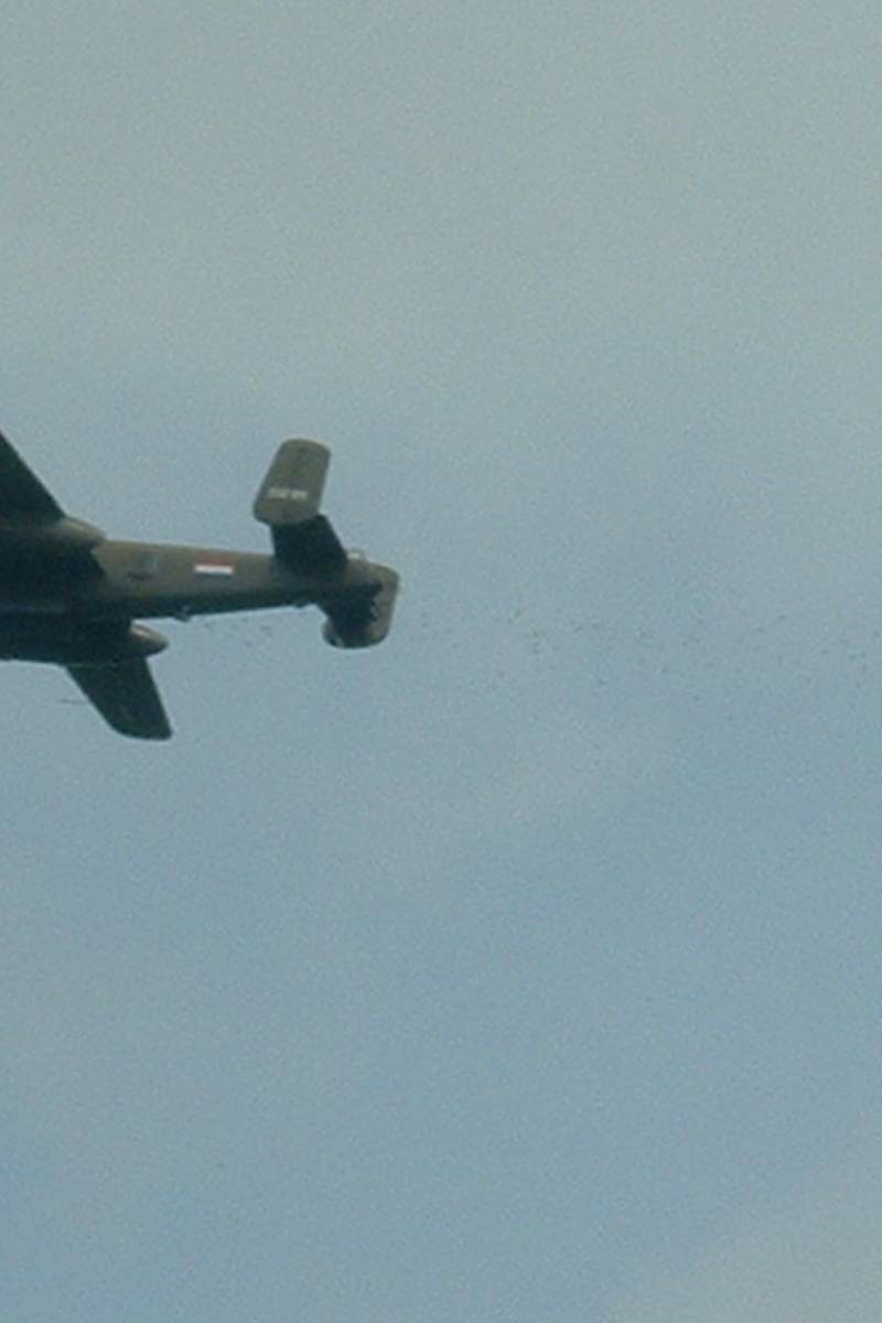  - Warbird