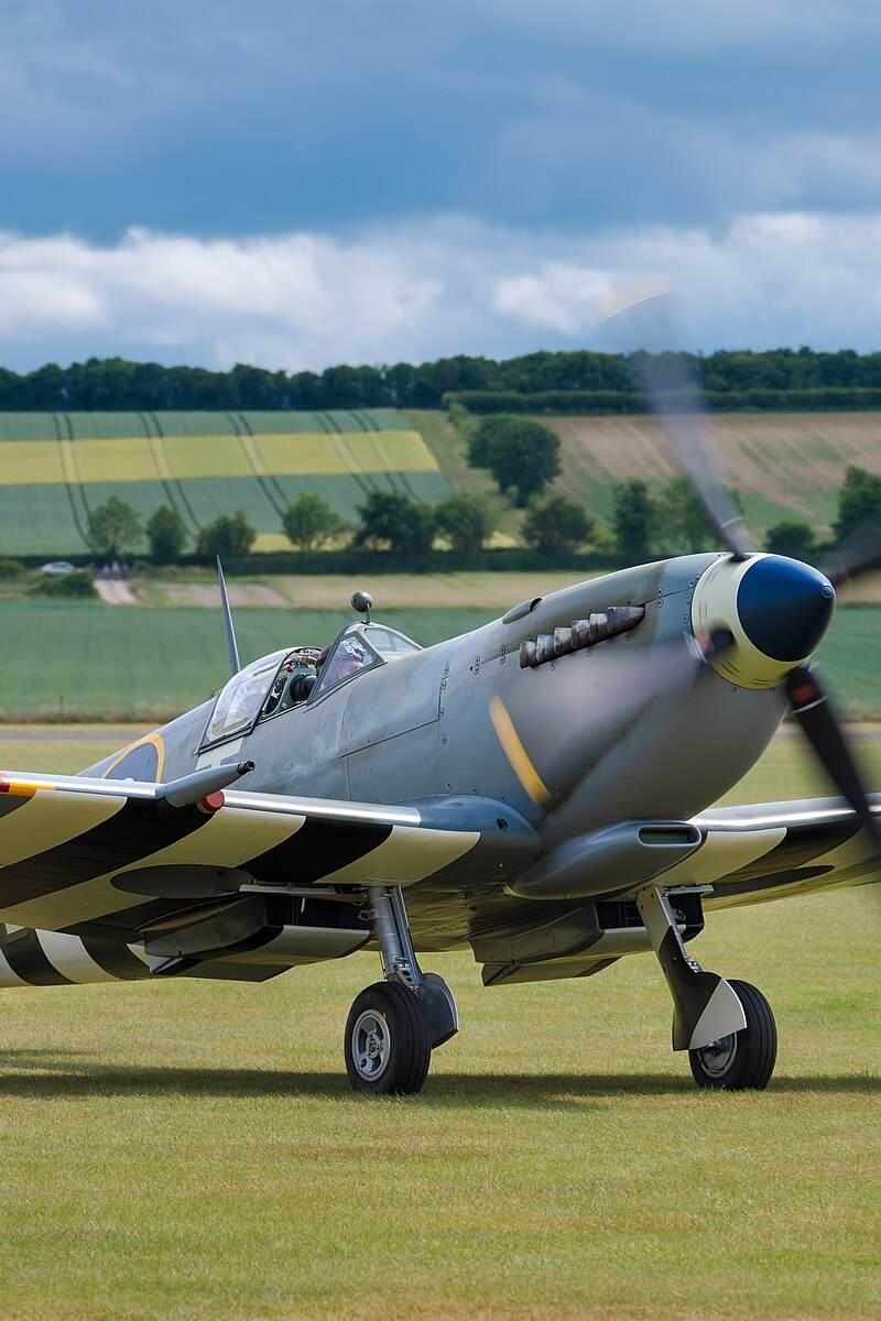  - Warbird
