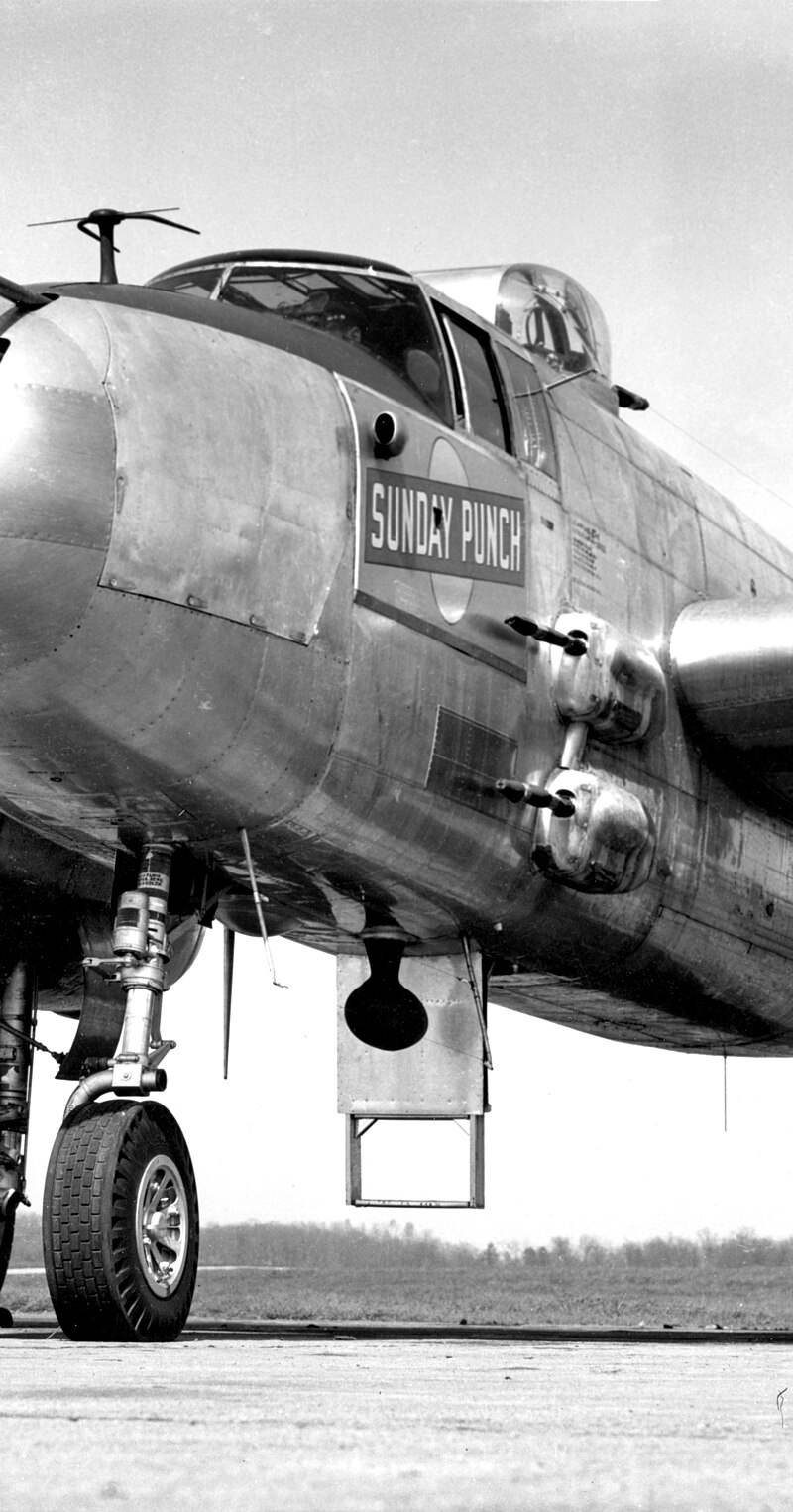  - Warbird