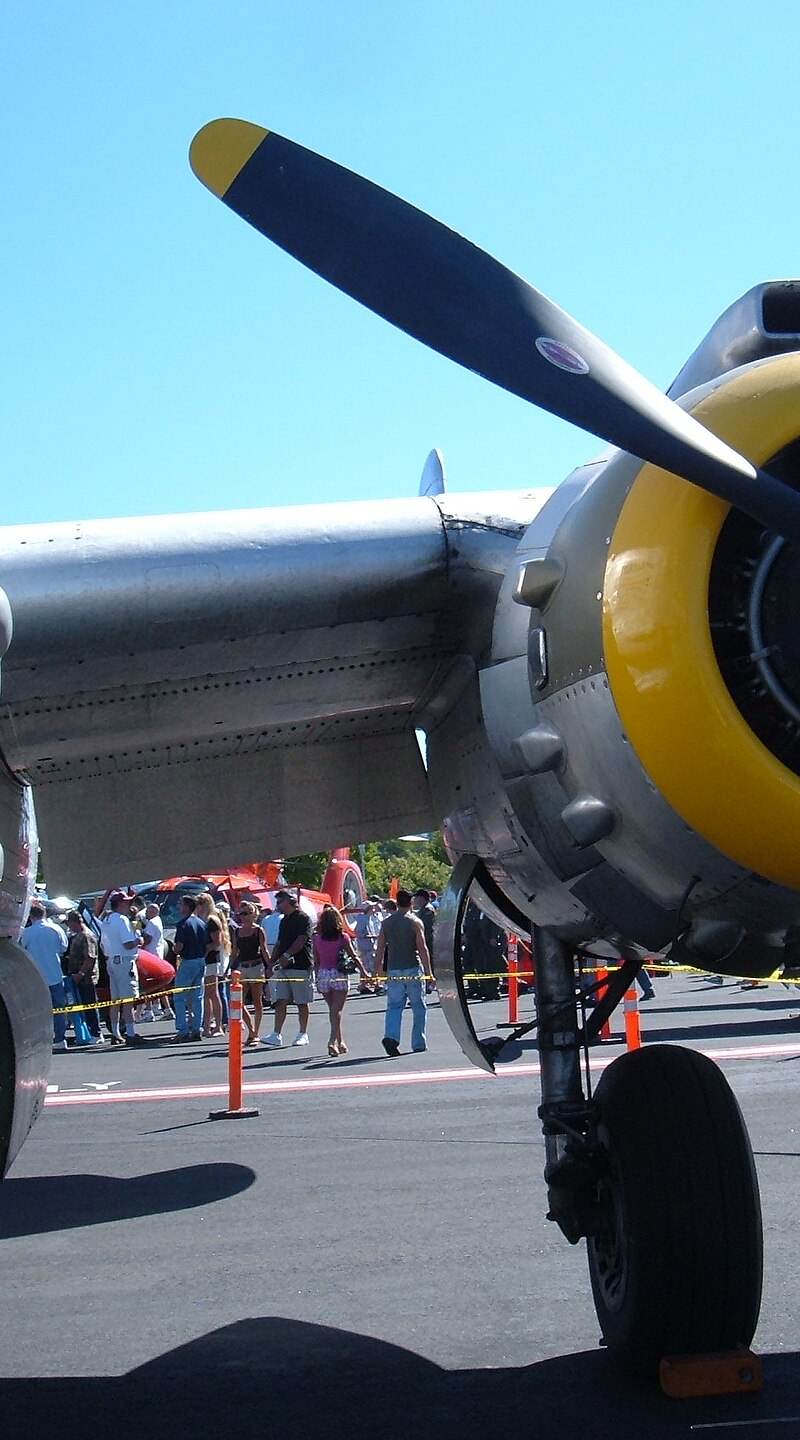  - Warbird
