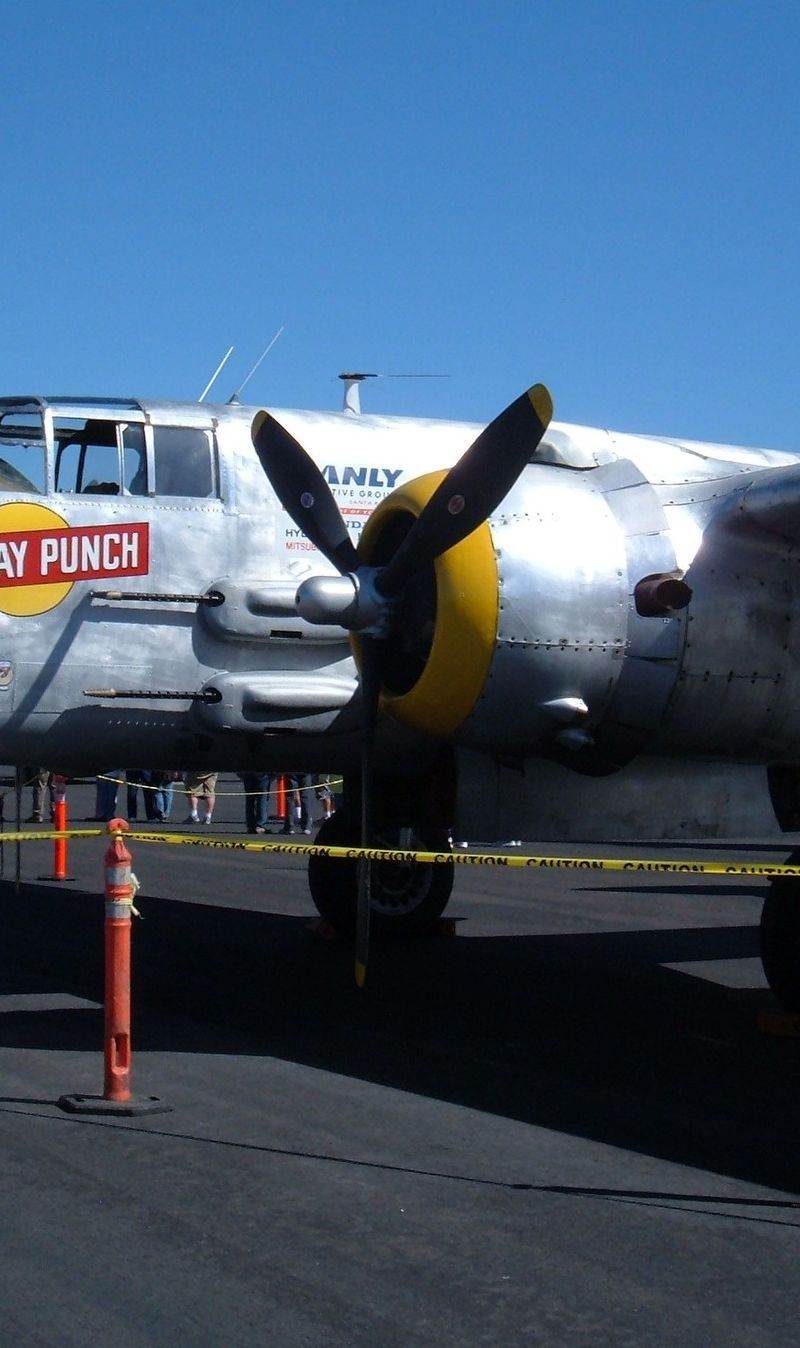  - Warbird