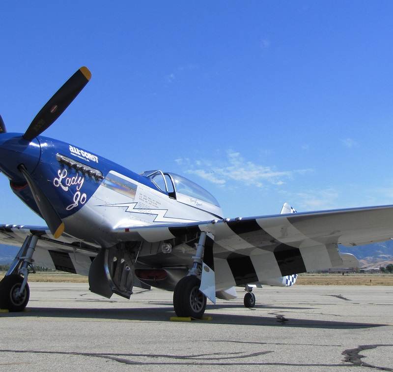  - Warbird