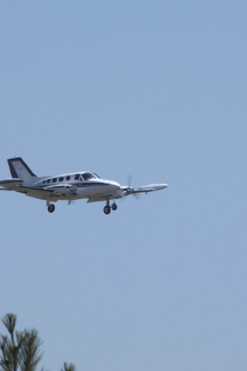 N69491 - Cessna