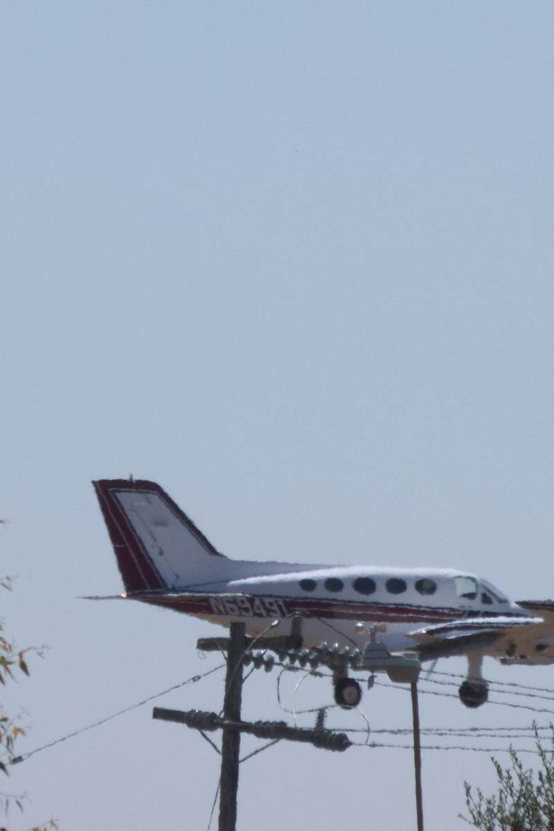 N69491 - Twin-engine aircraft