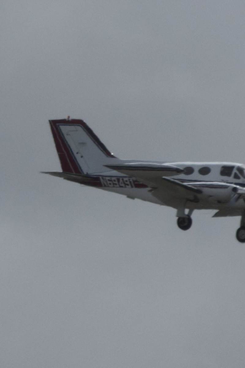 N69491 - Cessna