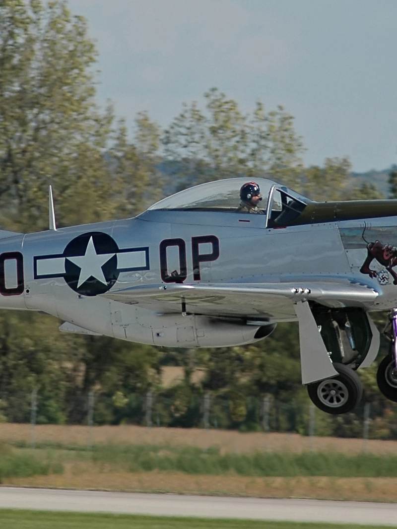  - Warbird