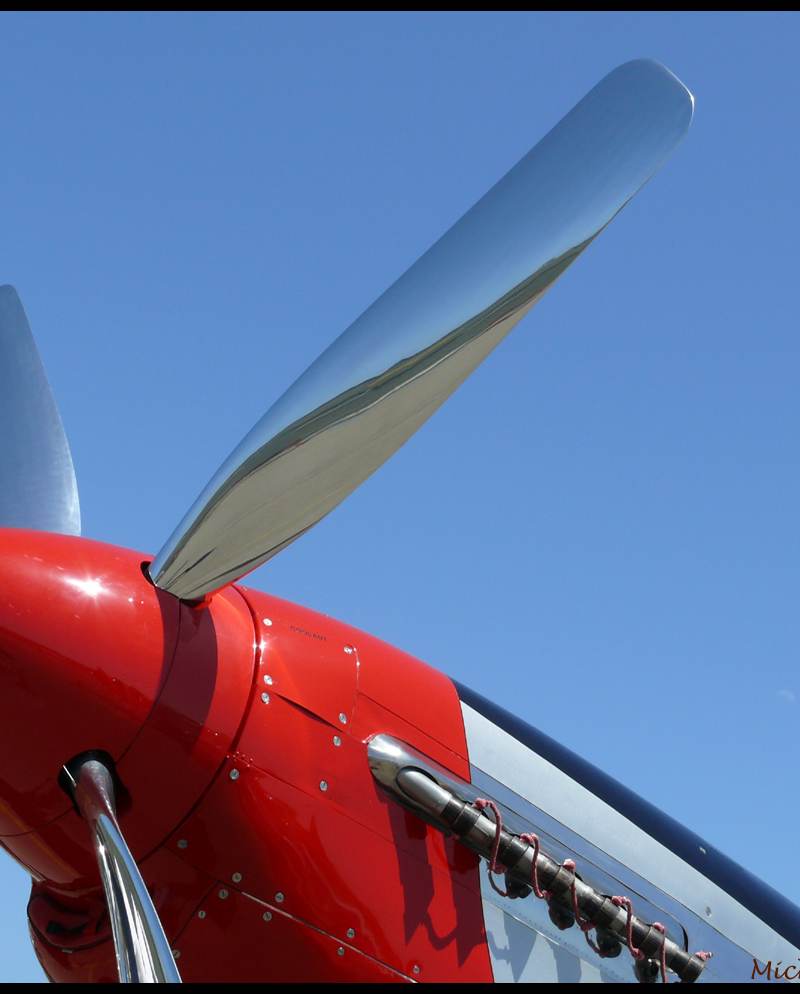  - Warbird