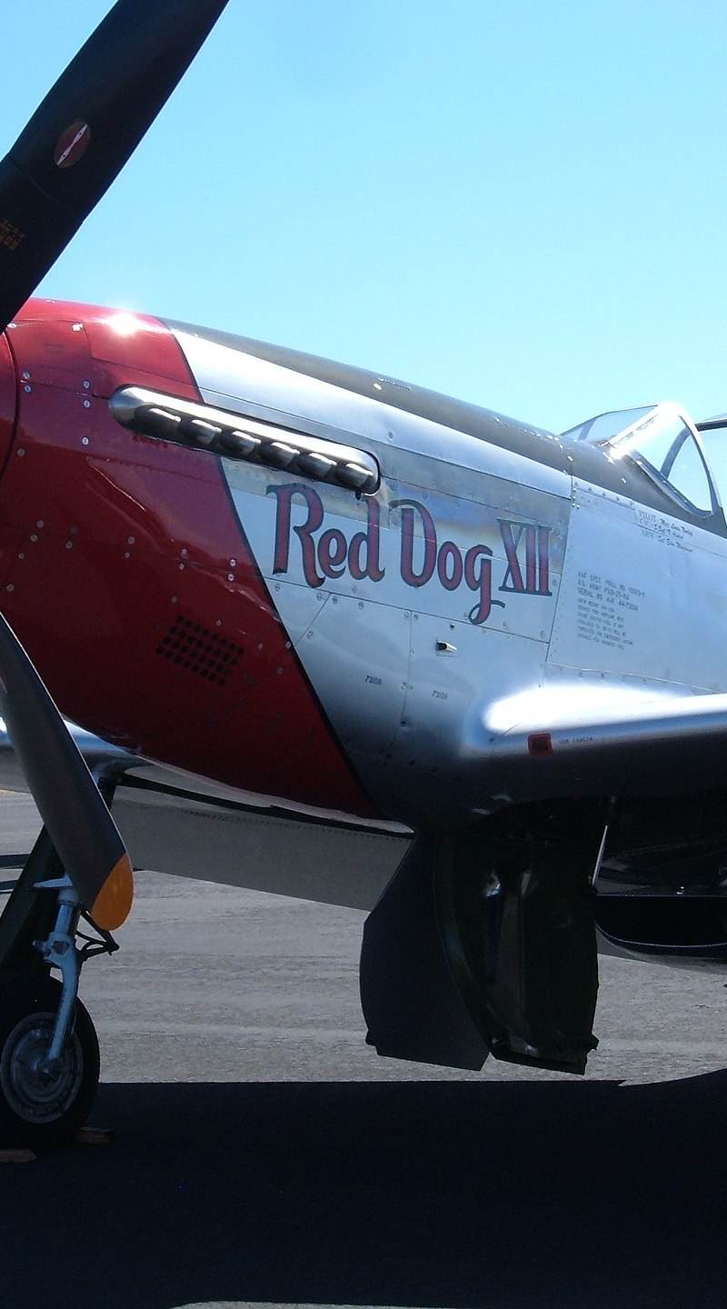  - Warbird