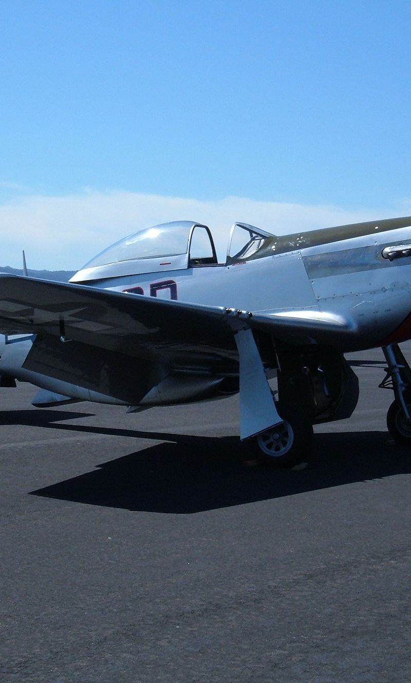  - Warbird
