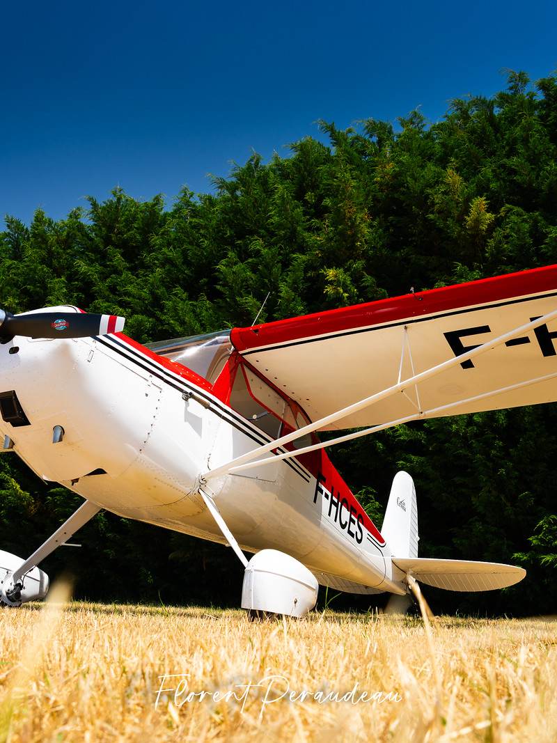 F-HCES - Single-engine aircraft