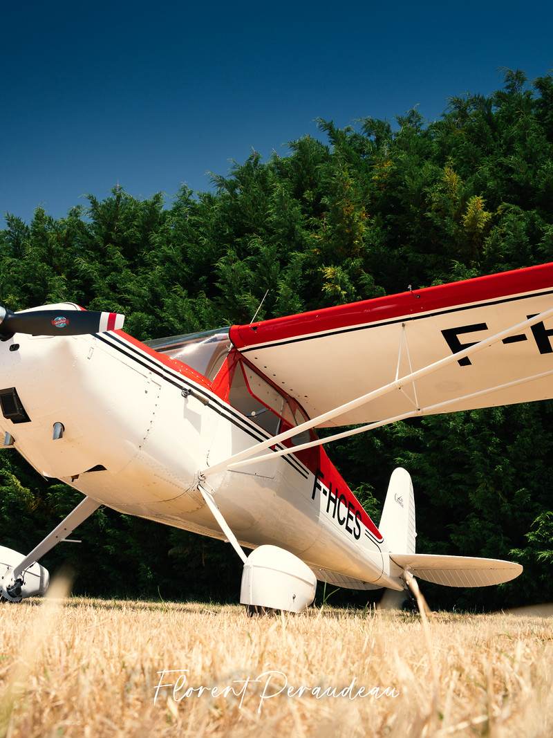 F-HCES - Cessna
