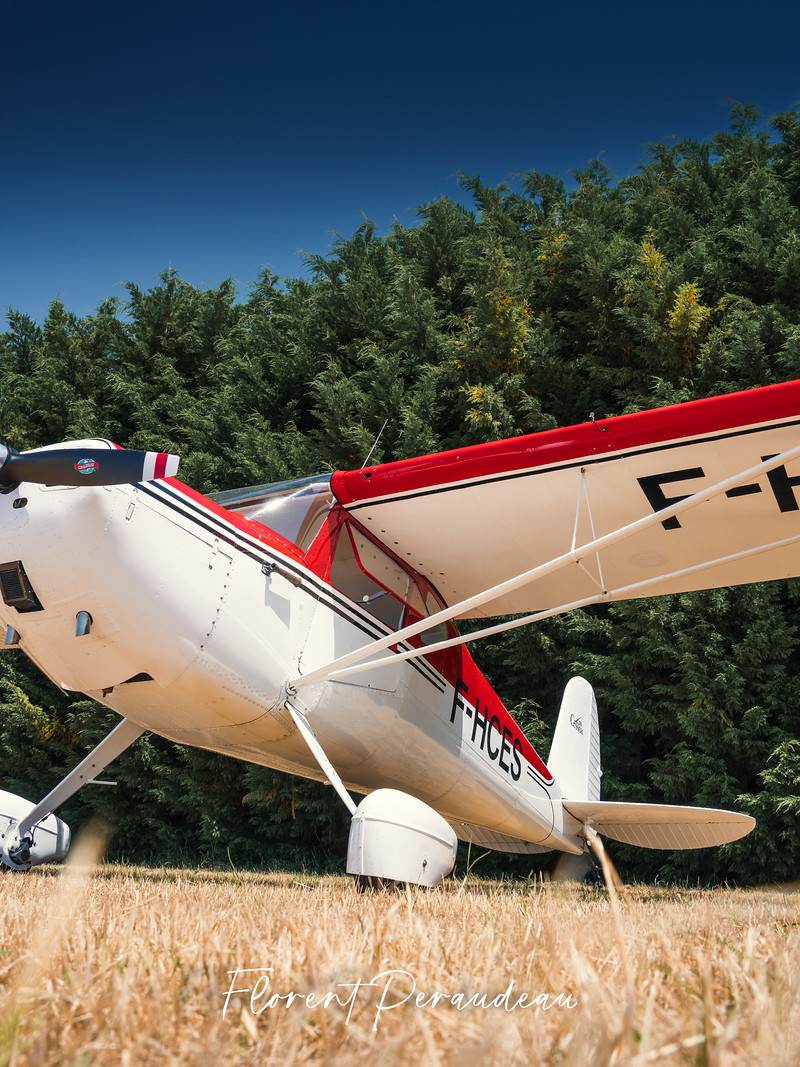 F-HCES - Single-engine aircraft