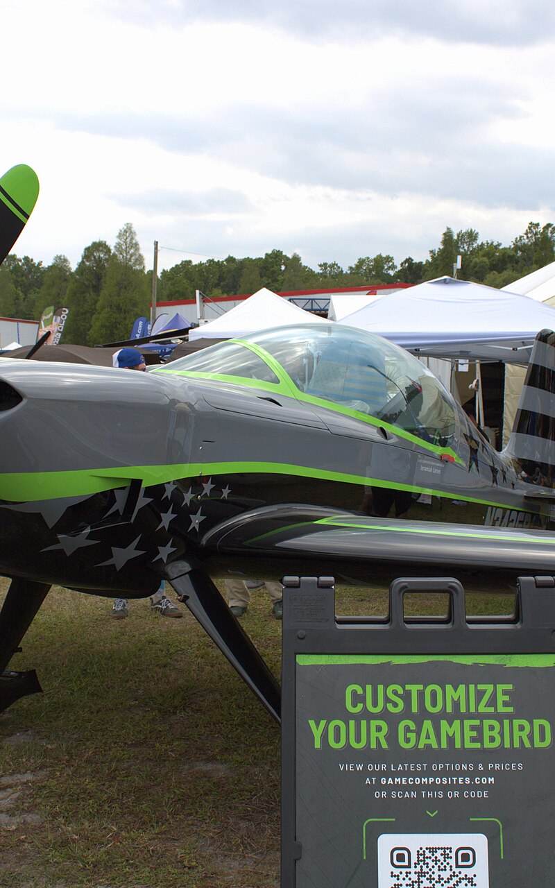 N342GB - Single-engine aircraft