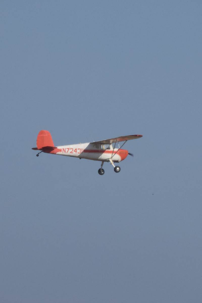 N72431 - Cessna
