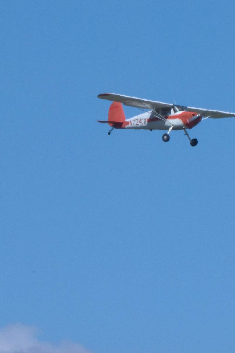 N72431 - Single-engine aircraft