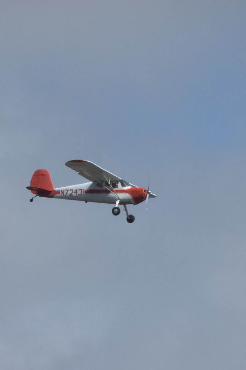 N72431 - Single-engine aircraft