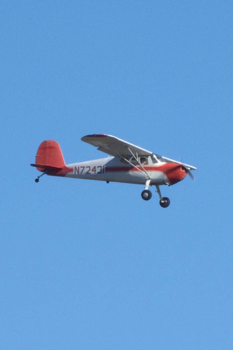 N72431 - Cessna