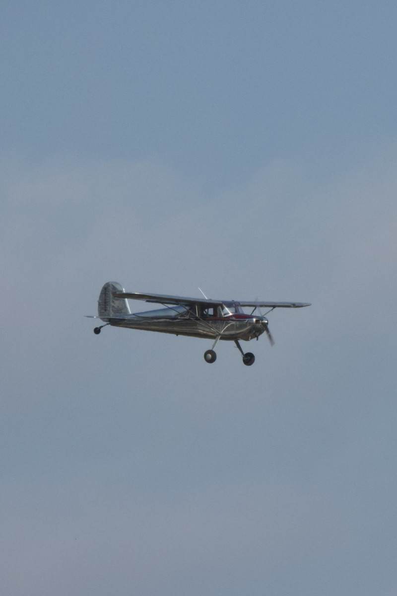 N2293N - Single-engine aircraft