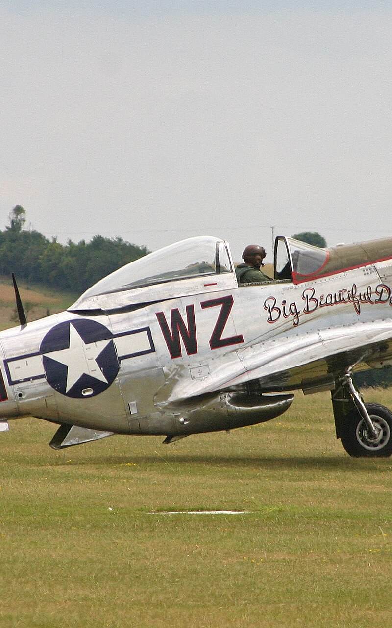  - Warbird