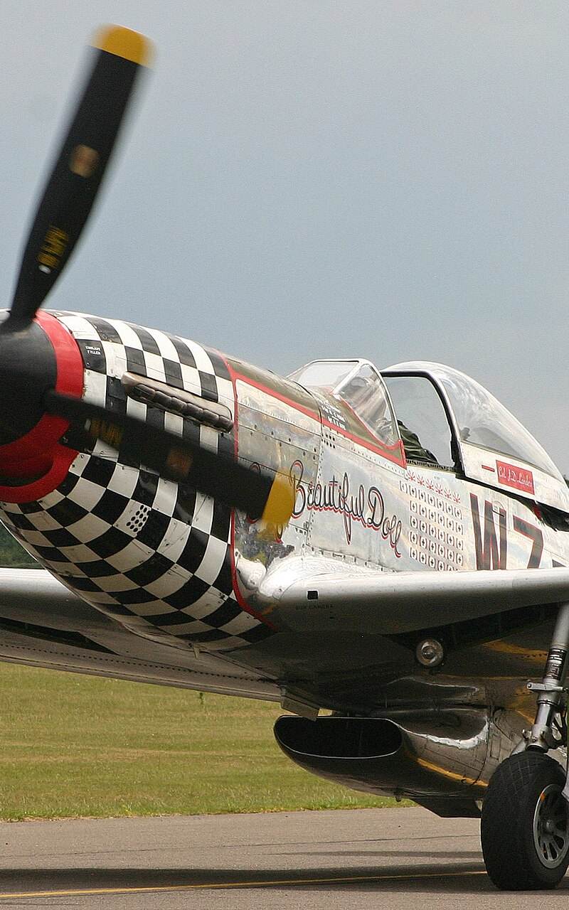  - Warbird